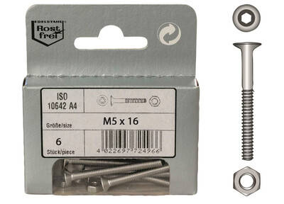 Viti Testa Svasata Brugola M5 con Dado in Blister