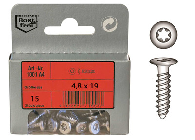 Viti Legno con Impronta Torx in Blister
