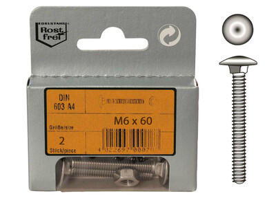 Viti Testa a Bandella M6 con Dado in Blister