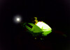 Luci Sicurezza Lume-On Spinlock Image