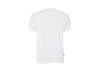 T-Shirt Uomo Dubarry Tangier Bianca Image